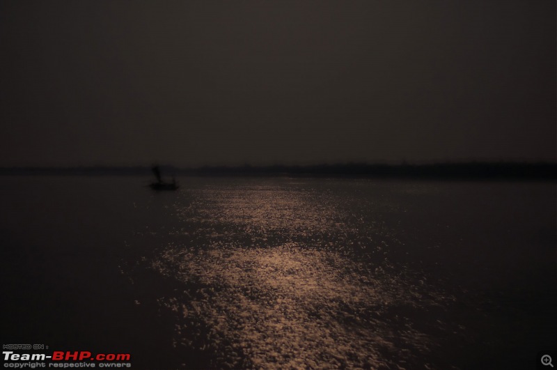 The mangroves have eyes | Wildlife at Sunderbans-dsc_0126denoiseaidenoise.jpg