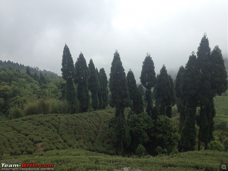 Backpacking around Darjeeling and getting a glimpse of the Kanchenjunga-img_0431.jpg