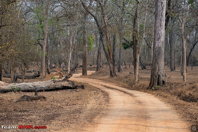 Cars, Wildlife and Photography Lessons at Kabini-dsc_1756.jpg