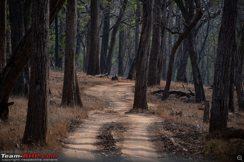 Cars, Wildlife and Photography Lessons at Kabini-dsc_2508.jpg