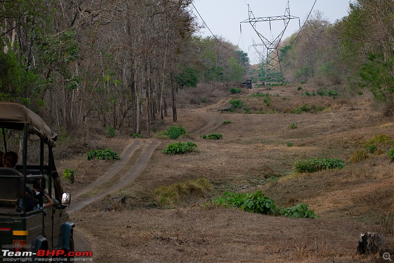 Cars, Wildlife and Photography Lessons at Kabini-dsc_2571.jpg