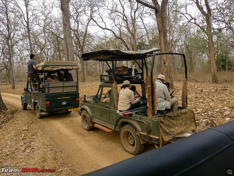 Cars, Wildlife and Photography Lessons at Kabini-img_20210328_1744492.jpg
