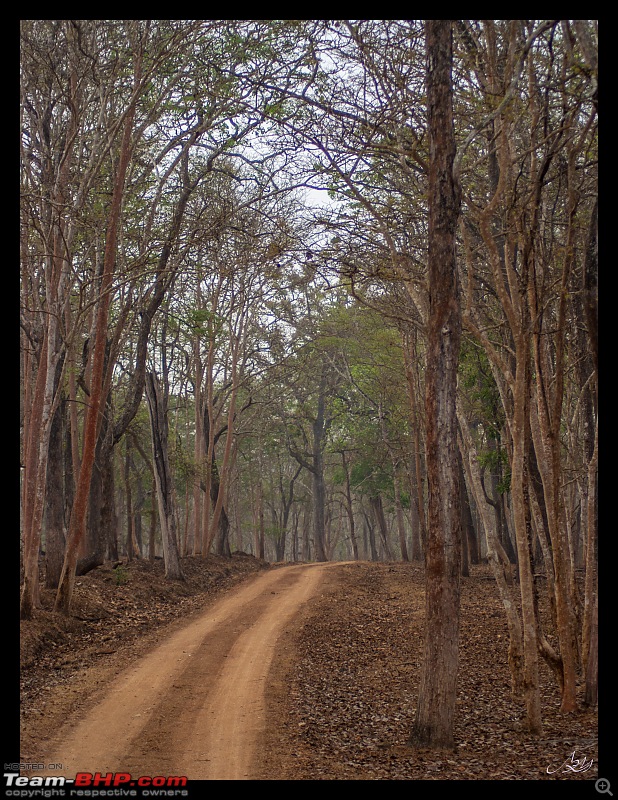 Cars, Wildlife and Photography Lessons at Kabini-3.jpg