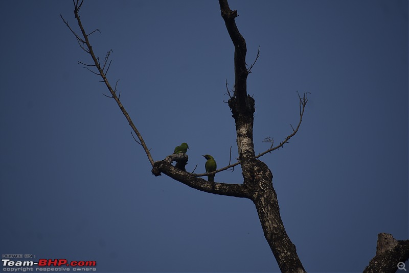 Quick weekend getaway to the Western Ghats-12-forest-walk-16.jpg