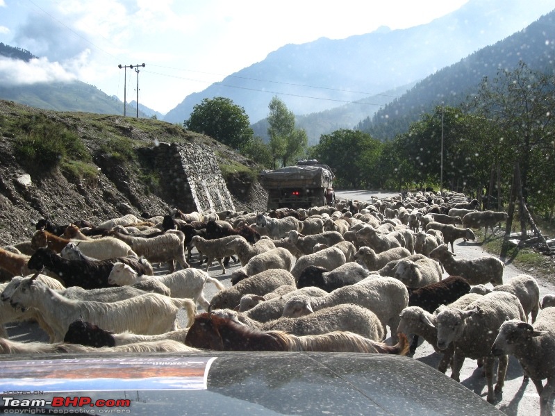 Leh'd and Back from Hyderabad: The 18 Day, 7804 Km Saga-img_1331.jpg