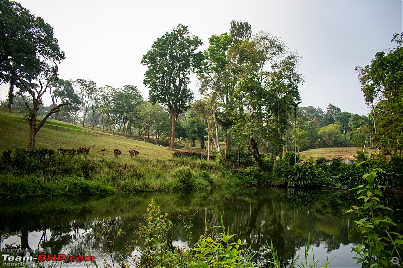 Friends, Cars and an Idyllic Weekend in Coorg-dsc_32412.jpg