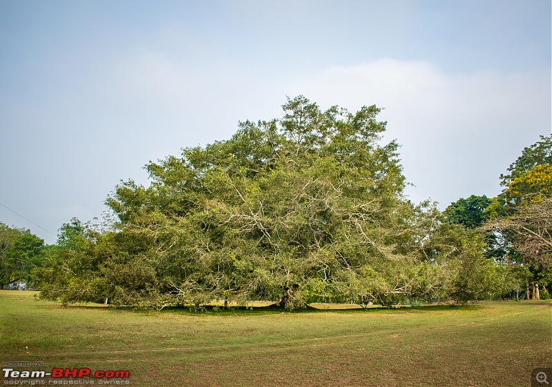 Friends, Cars and an Idyllic Weekend in Coorg-dsc_33122.jpg