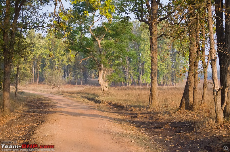 Road Trip to the Indian Savanna-_dsc1332.jpg
