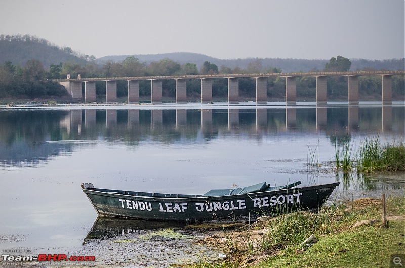 Road Trip to the Indian Savanna-_dsc1659.jpg