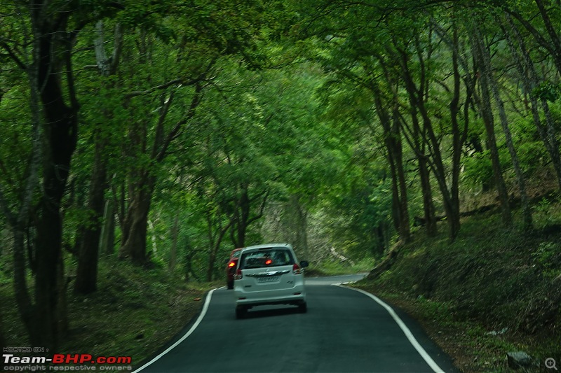 Friends, Cars and an Idyllic Weekend in Coorg-dsc08593.jpg