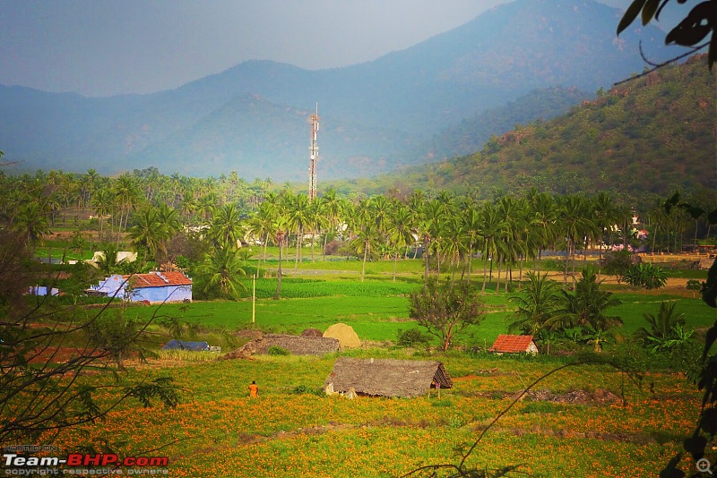 Weekend getaway to Veerappan's birth place, Gopinatham-0e4965a66ce44d3a8df4dea581ec7a51.jpg