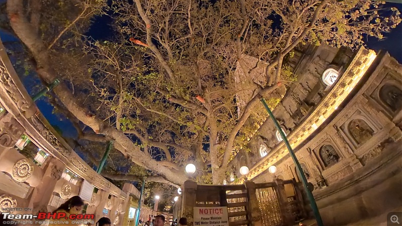 Lost in Varanasi - An Innova Crysta Venture-21-bodhi-tree.jpg