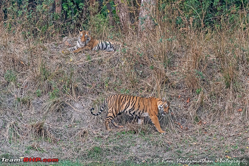 Wildlife at enchanting Kanha | A photologue-dsc_16892.jpg