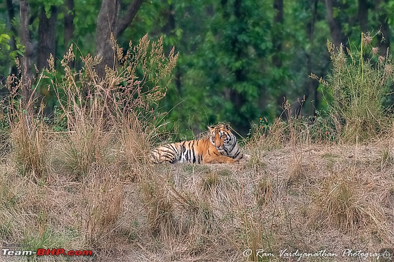 Wildlife at enchanting Kanha | A photologue-dsc_17582.jpg