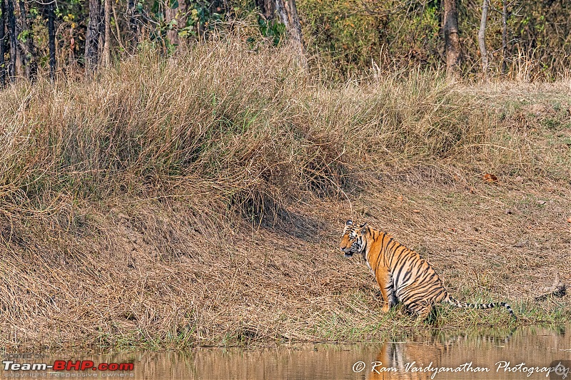 Wildlife at enchanting Kanha | A photologue-dsc_19992.jpg