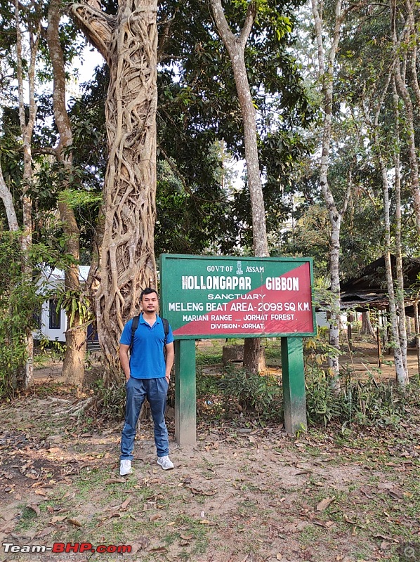 Road-trip to the Hoollongapar Gibbon Sanctuary (Assam)-img_20210403_064945.jpg