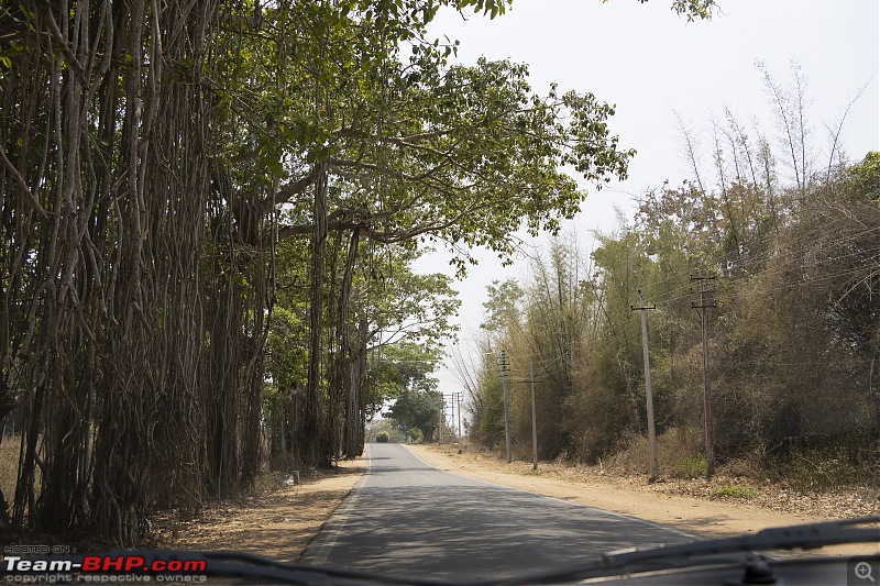 A road-trip to the forests & mountains!-_mg_5486.jpg