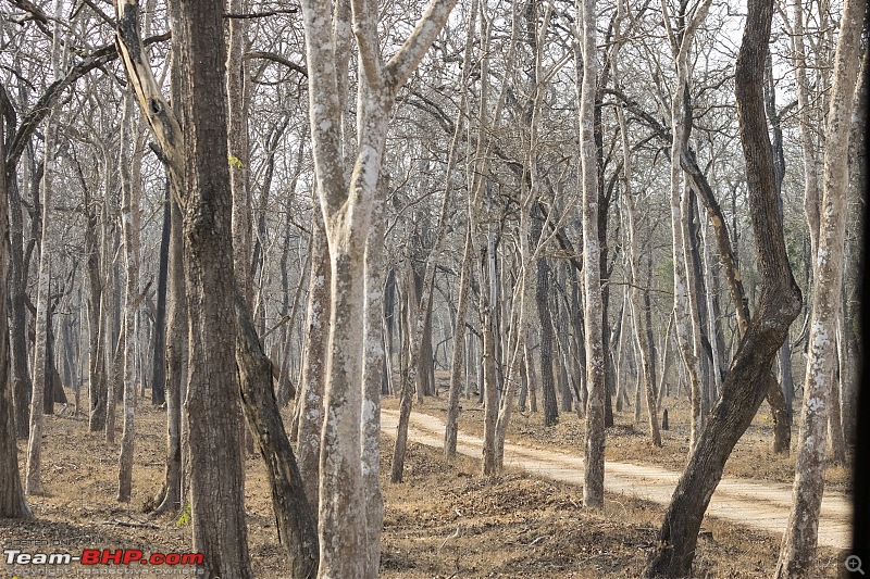 A road-trip to the forests & mountains!-_mg_5610.jpg