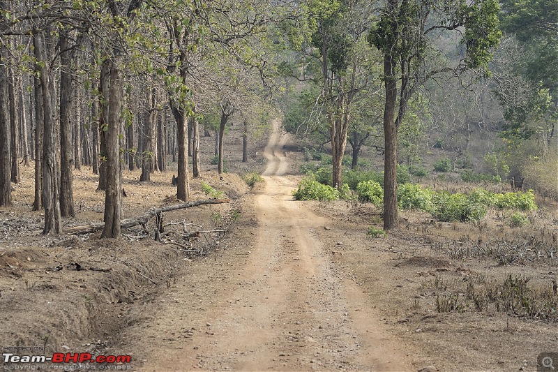 A road-trip to the forests & mountains!-_mg_6819.jpg