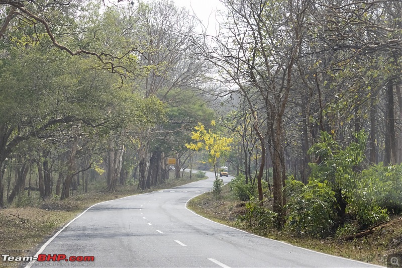 A road-trip to the forests & mountains!-_mg_8514.jpg