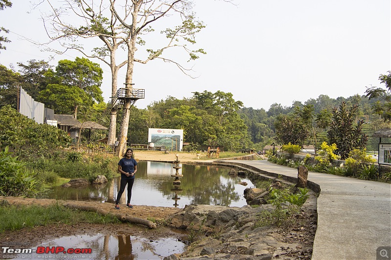 A road-trip to the forests & mountains!-_mg_8891.jpg