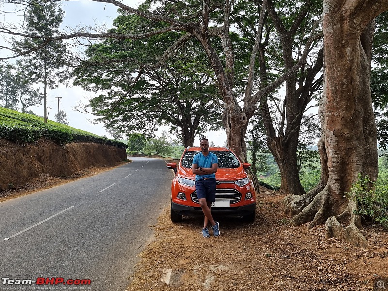 A road-trip to the forests & mountains!-_mg_8978a.jpg