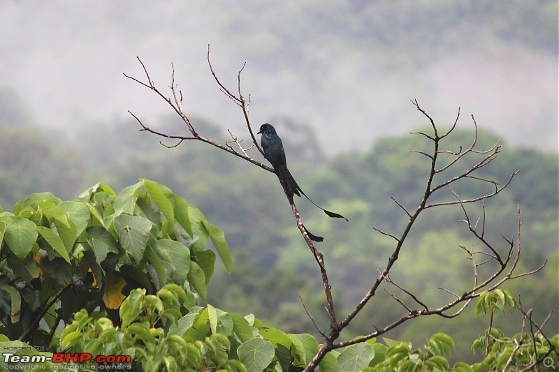 A road-trip to the forests & mountains!-_mg_9142.jpg