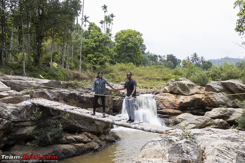 A road-trip to the forests & mountains!-_mg_9253.jpg