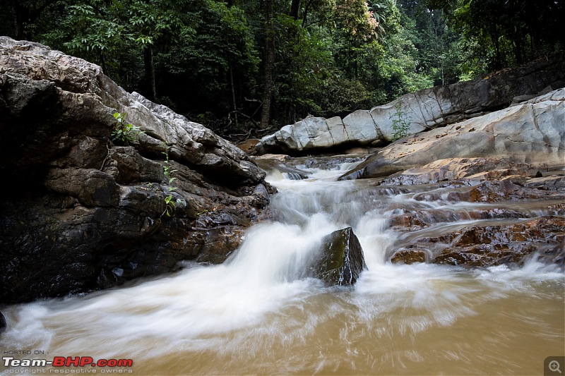 A road-trip to the forests & mountains!-_mg_9165.jpg