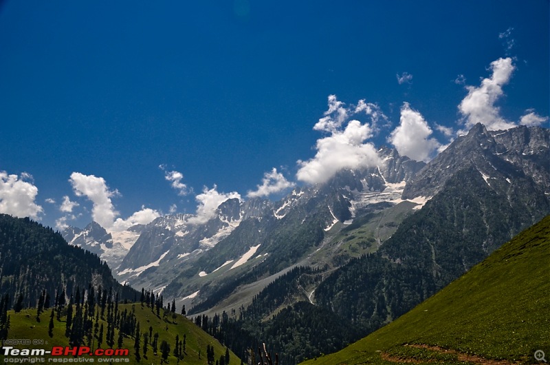 Knee bursting, toe crushing, back breaking trek into heaven - Kashmir!-dsc_31522.jpg