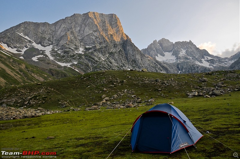 Knee bursting, toe crushing, back breaking trek into heaven - Kashmir!-dsc_319622.jpg