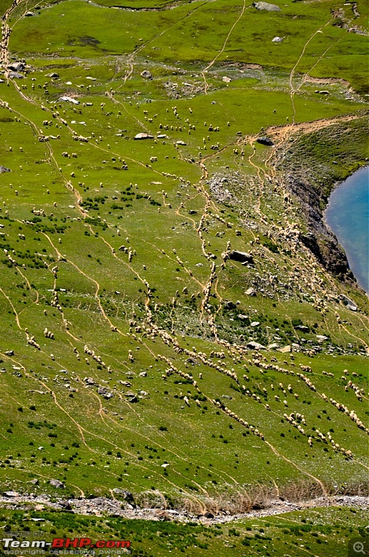 Knee bursting, toe crushing, back breaking trek into heaven - Kashmir!-dsc_32082.jpg