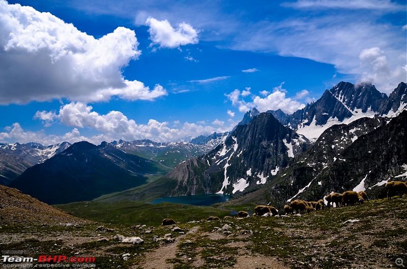 Knee bursting, toe crushing, back breaking trek into heaven - Kashmir!-dsc_32092.jpg