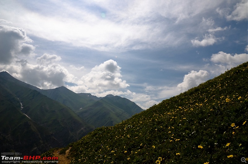 Knee bursting, toe crushing, back breaking trek into heaven - Kashmir!-dsc_32492.jpg