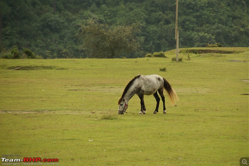 The Himachal Tribal Circuit - 2009-resized_14.jpg