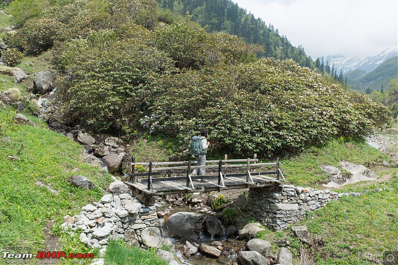 Chasing the Himalayan dream | Bali Pass, Uttarakhand-dsc_0155.jpg