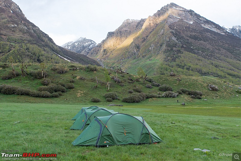 Chasing the Himalayan dream | Bali Pass, Uttarakhand-dsc_0201.jpg