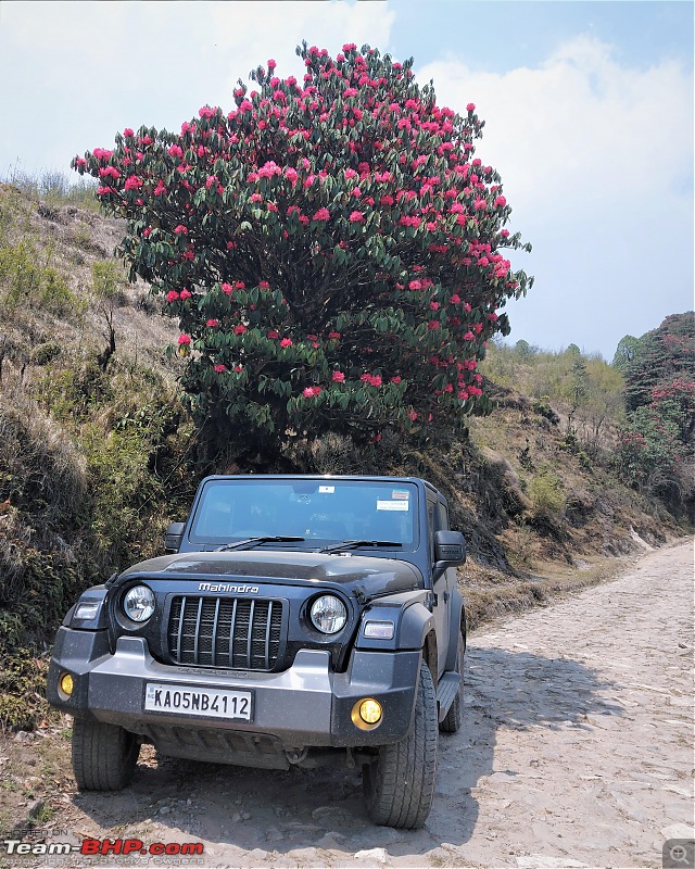 From Bangalore, in search of the Sleeping Buddha-073min.jpg