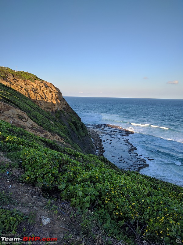 If I were a buffalo, I would chew my travels-newcastle1.jpg