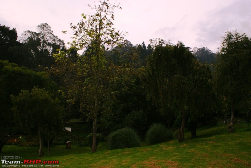 An incredible road trip to Velankanni, Kodaikanal and Ooty-ooty-botanical-garden_greenery.jpg