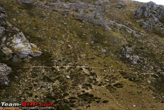 The Himachal Tribal Circuit - 2009-10a-trail-far.jpg