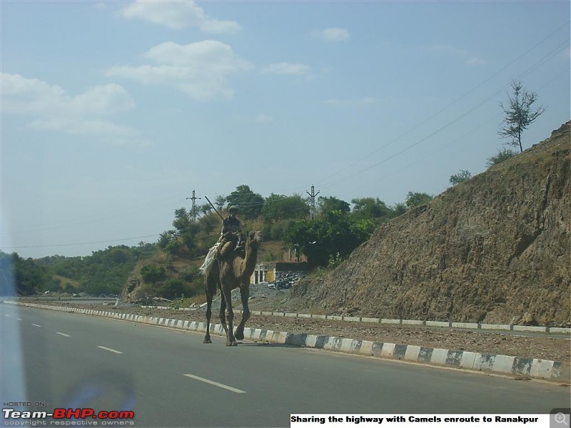 5800 km long drive back in history to Rajasthan from Bangalore and back-stp65153.jpg