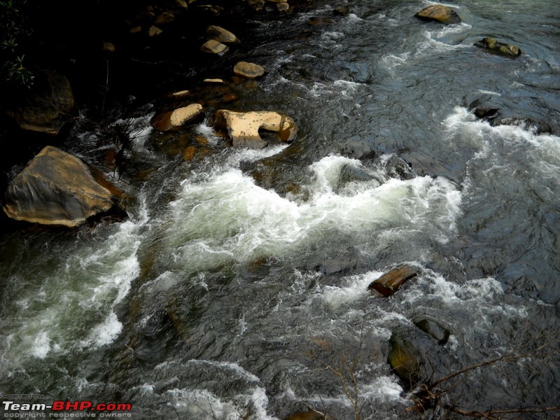 Swifted : Bisle, Belur, Halebid, Chikmagalur, Kemmangundi-dscn5261.jpg