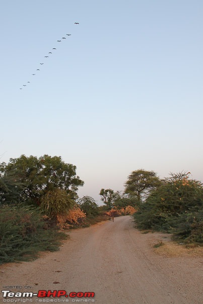 Kutch Kutch Hota Hai - Into Heart Of The Little Rann-driveway.jpg