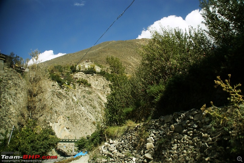 The Himachal Tribal Circuit - 2009-24-green-apples.jpg