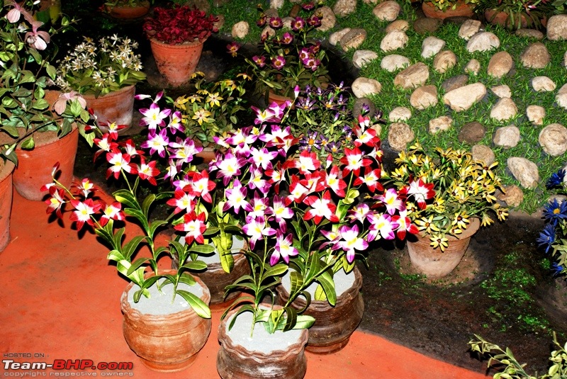 An incredible road trip to Velankanni, Kodaikanal and Ooty-c-thread-garden_beautiful-flowers.jpg