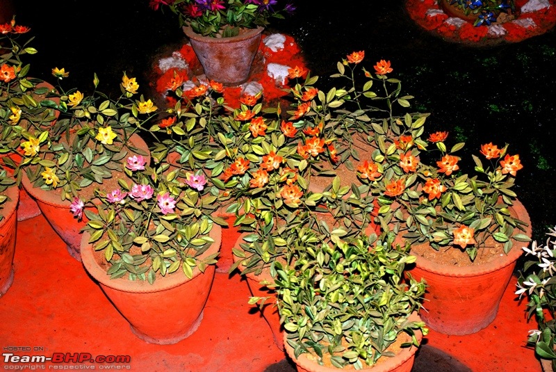 An incredible road trip to Velankanni, Kodaikanal and Ooty-c-thread-garden_beautiful-flowers-d.jpg