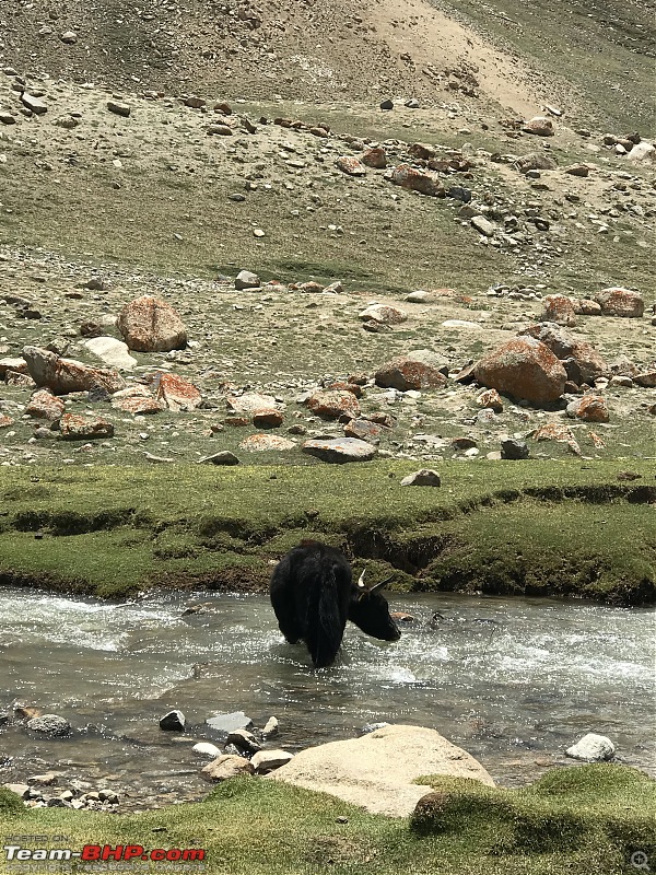 Chandigarh to Leh in an Isuzu V-Cross & Mahindra Thar | Test of Man and Machine-8757f16e8eea444a80d618adc7e3b1b7.jpeg