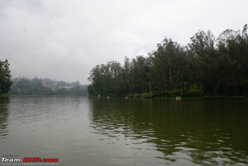An incredible road trip to Velankanni, Kodaikanal and Ooty-c-ooty-lake-3.jpg