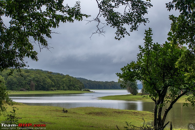 Monsoon Drive to Bhadra Tiger Reserve - A Photologue-dsc_42122.jpg